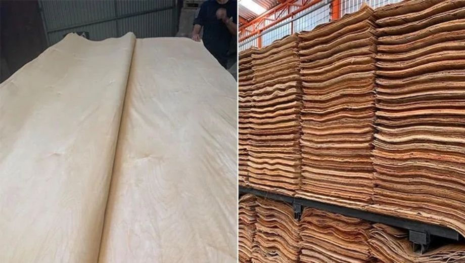 Không lạm dụng gỗ kém chất lượng