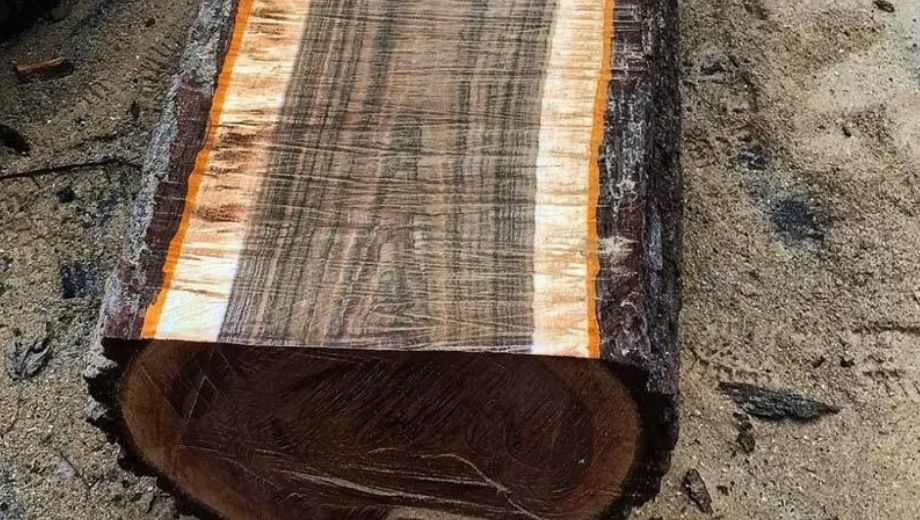 Độ bền của gỗ óc chó