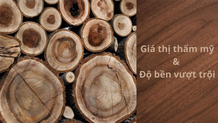 Giá trị thẩm mỹ và độ bền của gỗ óc chó