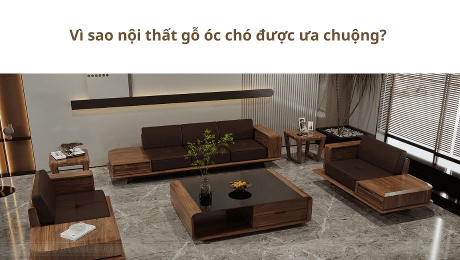 Vì sao gỗ óc chó được ưa chuộng tại Hải Dương